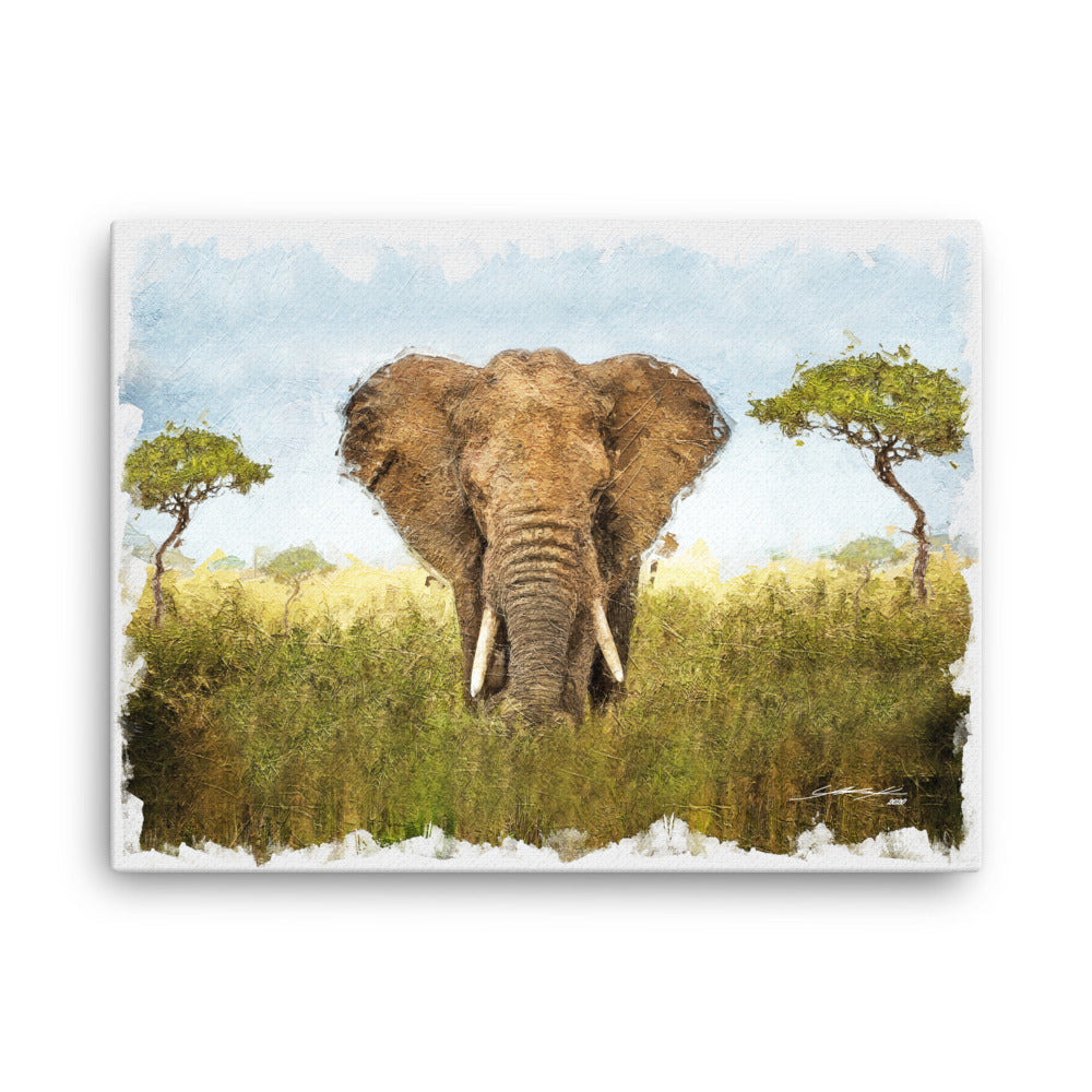 Elephant Land Canvas 24x18